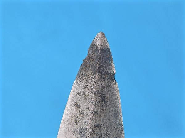 [Blade Corrosion Image]