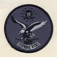 [FBI HRT Patch]